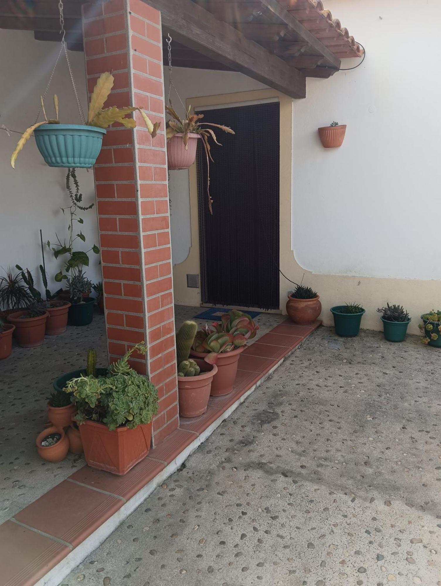 Cantinho Da Susy Golegã Buitenkant foto